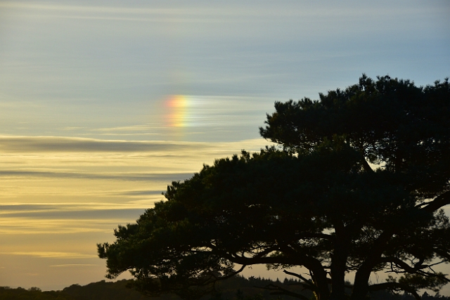 13 11 16_3489_edited-1.jpg - THIS S KNOWN AS A SUN DOG - NEW FOREST - 13.11.16 - WITH FREINDS AWAITING THE SUPERMOON